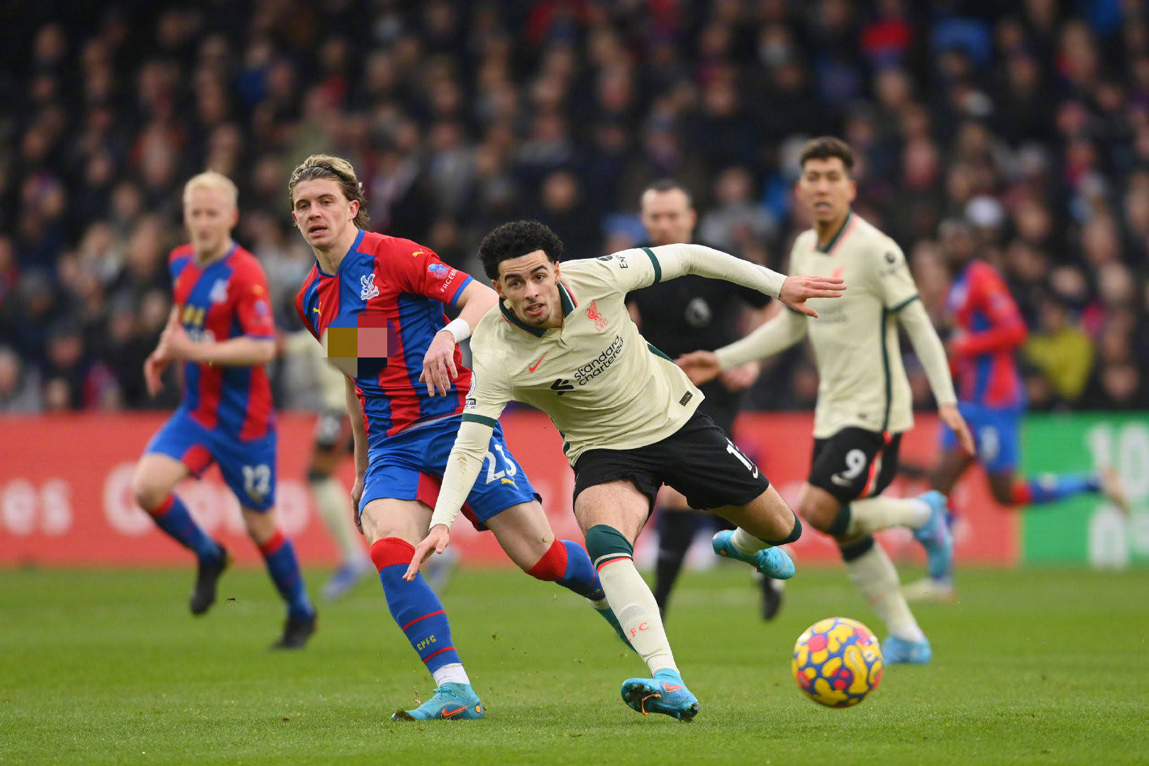 队的一员 队的一员